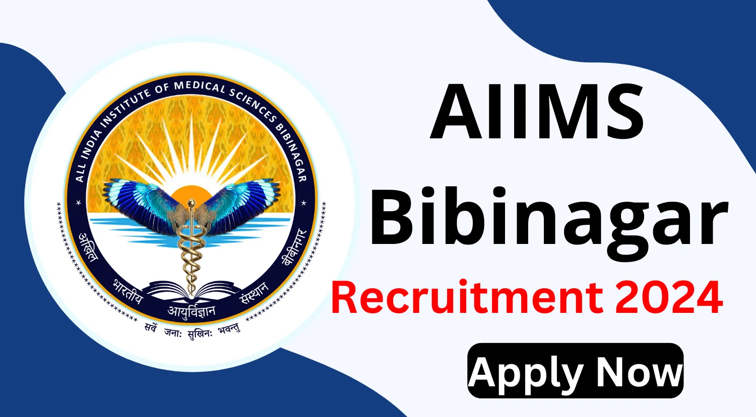 AIIMS Bibinagar Recruitment 2024