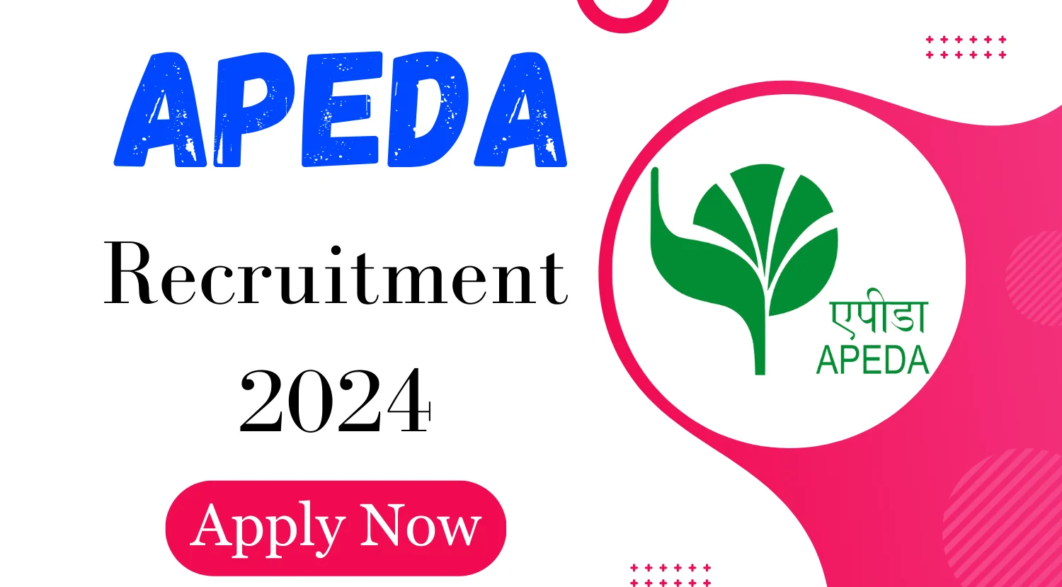 APEDA Manager Recruitment 2024