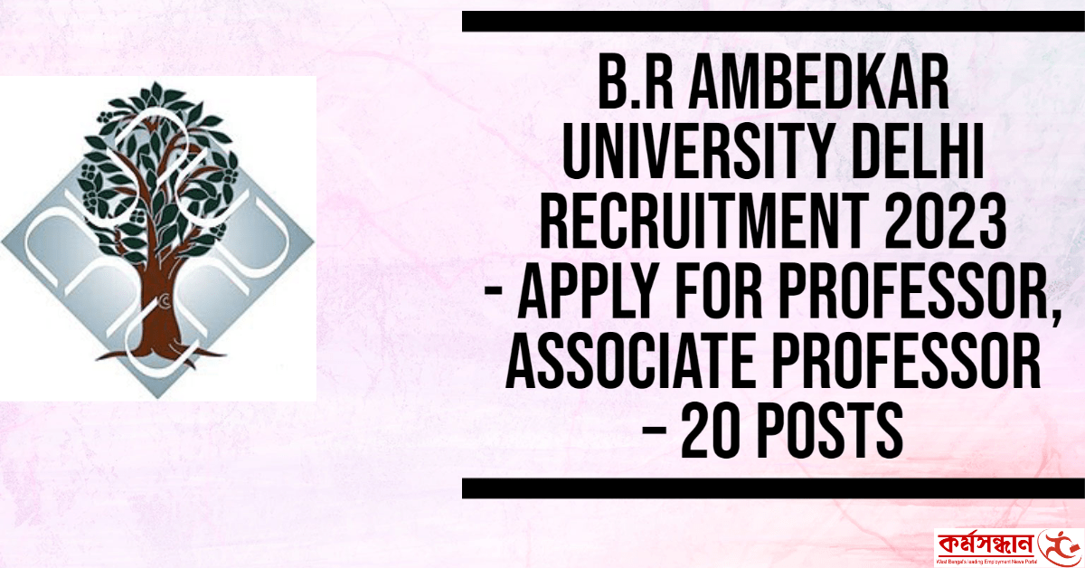 B.R Ambedkar University Delhi Recruitment 2023