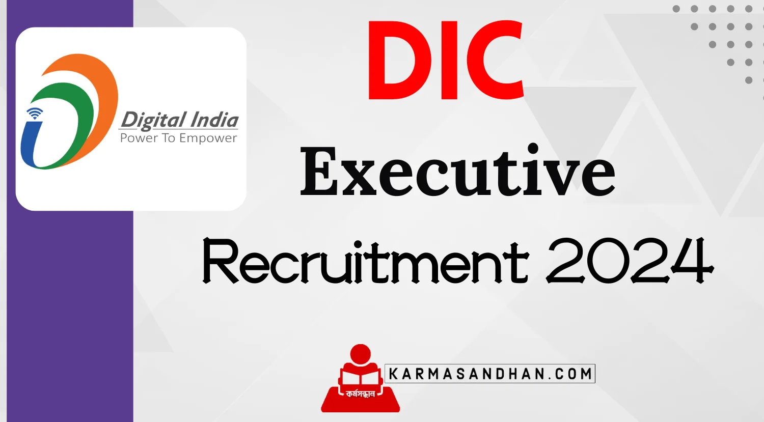 DIC Executive Recruitment 2024