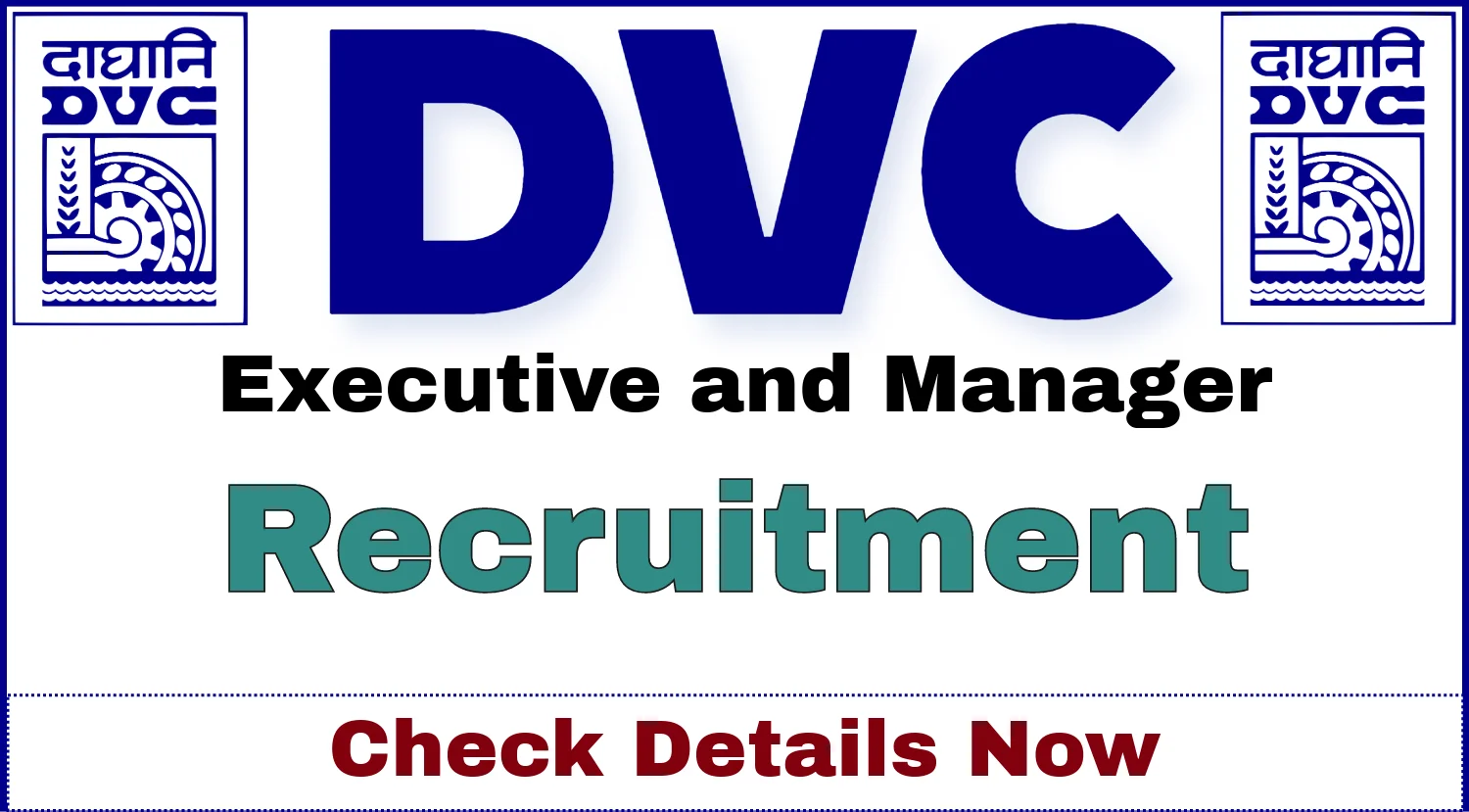 DVC Executive and Manager Recruitment 2024