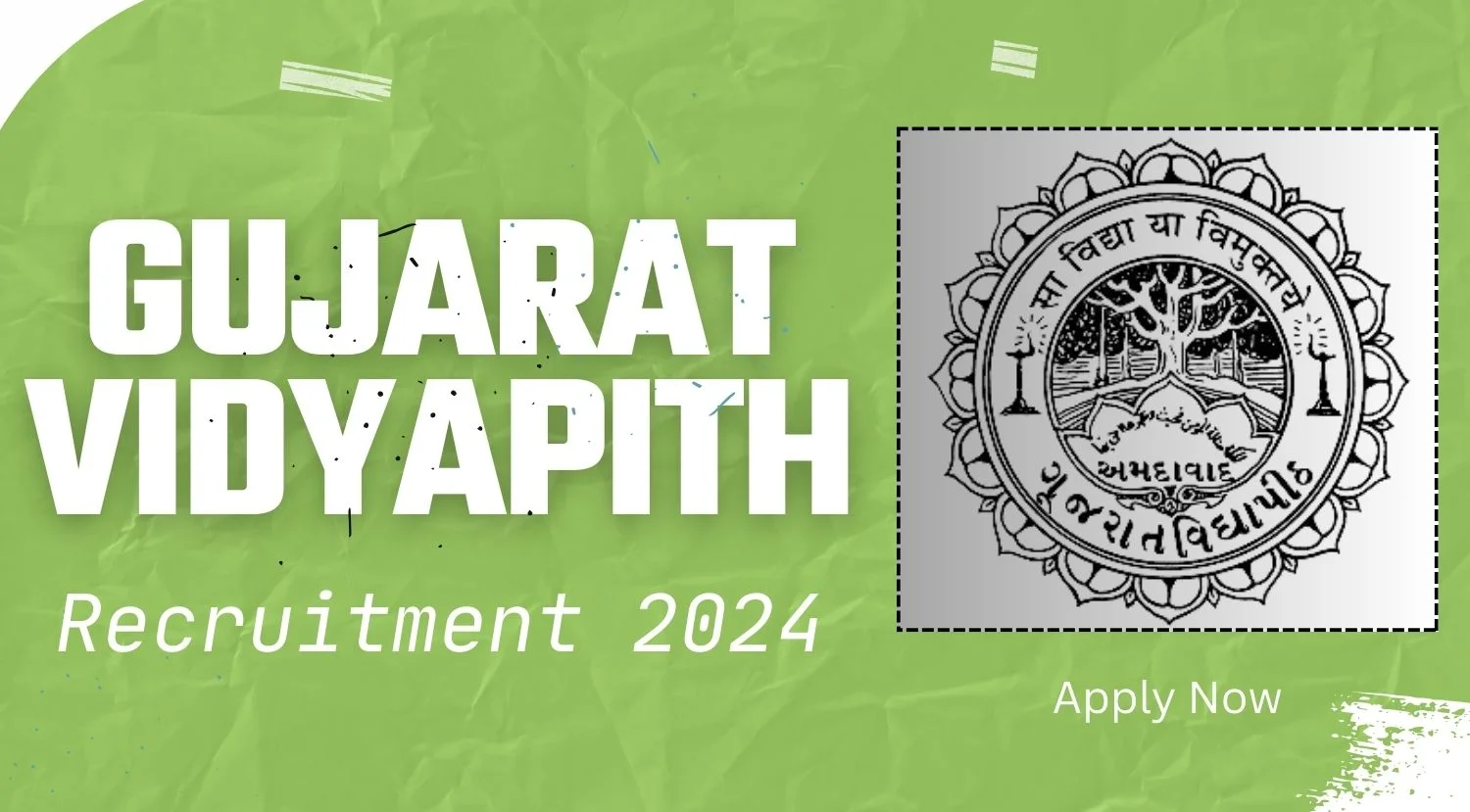 Gujarat Vidyapith Teachers Recruitment 2024