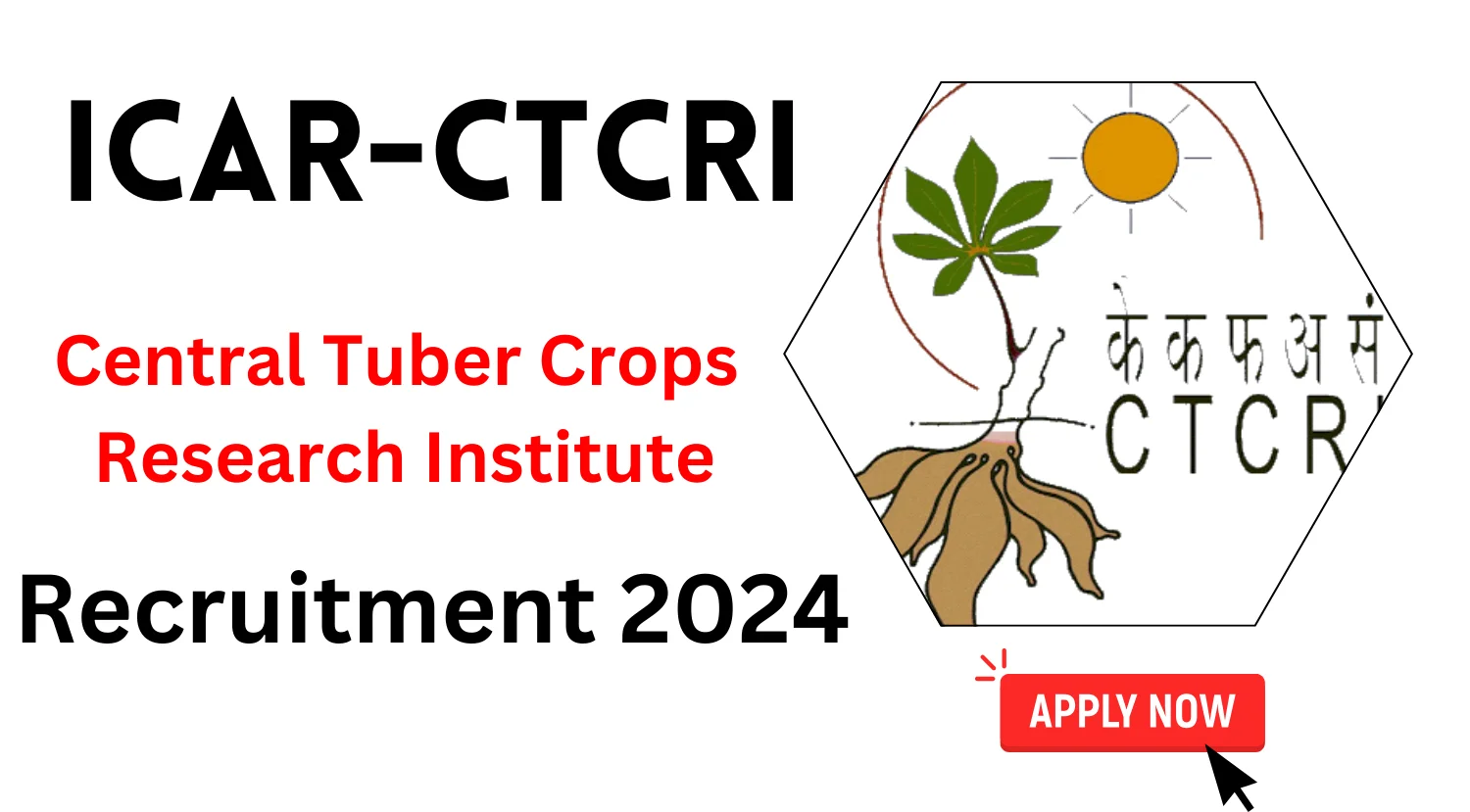 ICAR-CTCRI Recruitment 2024
