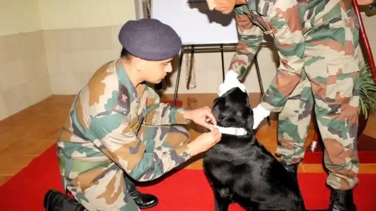 Indian Army RVC SSC Recruitment 2026 (95th Course) Notification OUT for Veterinary Officer Posts 18 Indian Army RVC SSC Recruitment 2026 (95th Course) Notification OUT for Veterinary Officer Posts