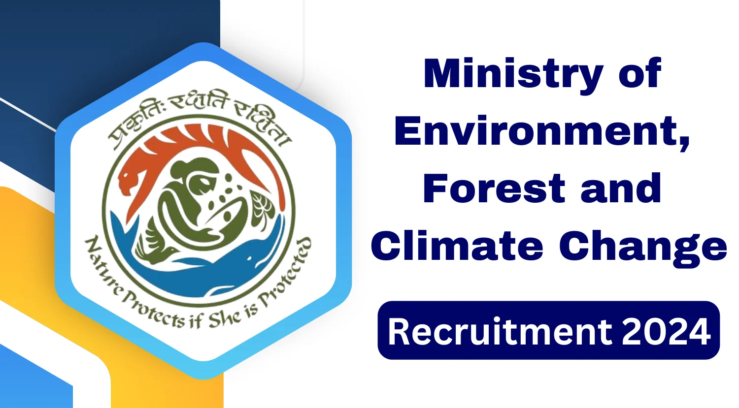 Ministry of Environment Recruitment 2024