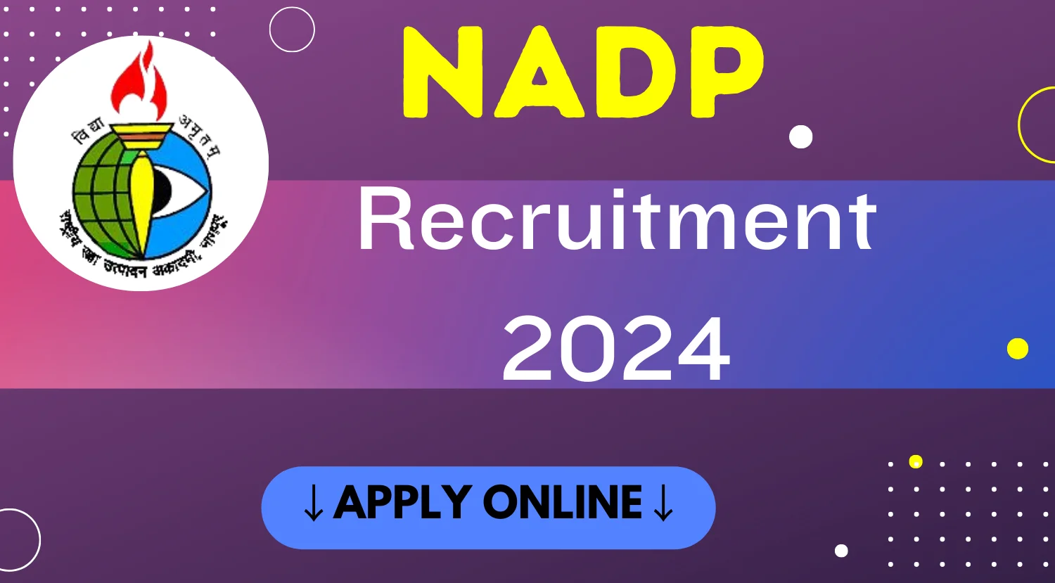 NADP Auditor Recruitment 2024