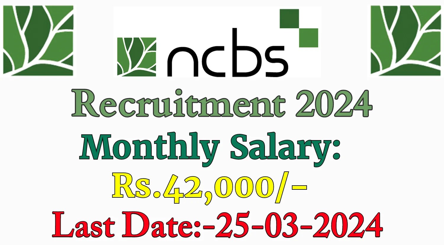 NCBS Recruitment 2024