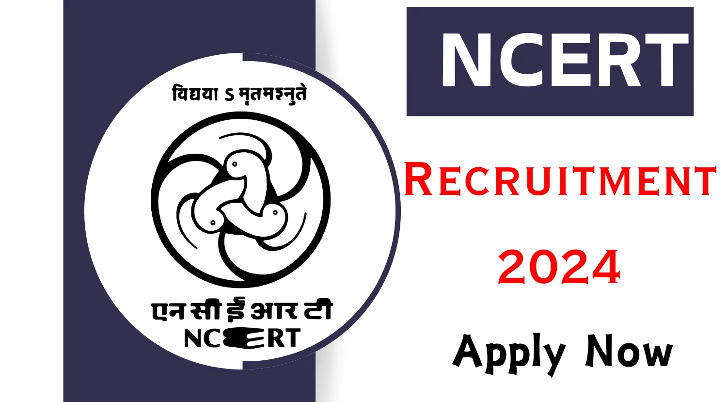 NCERT Consultant Recruitment 2024