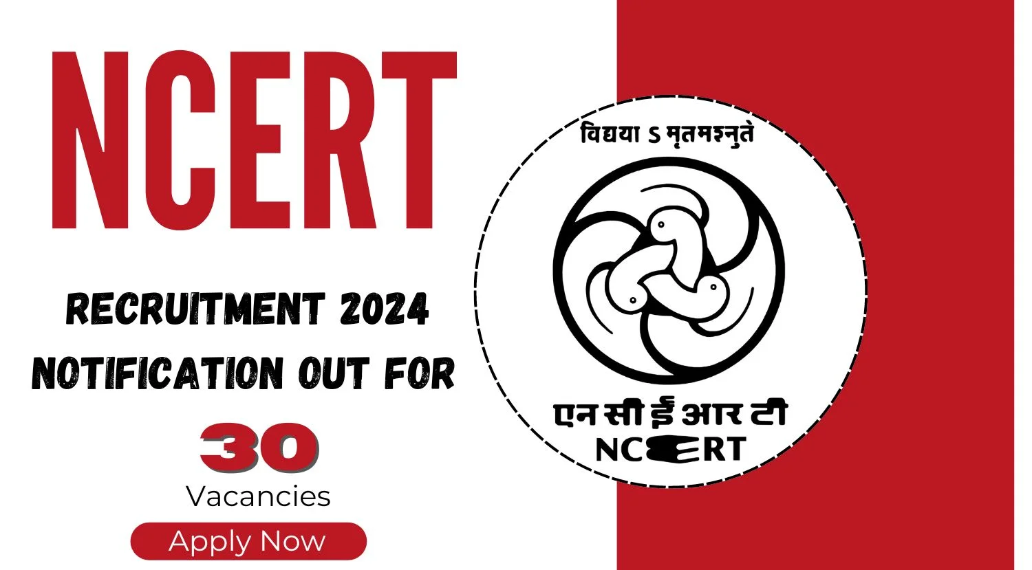 NCERT Recruitment 2024 Notification Out for 30 Vacancies