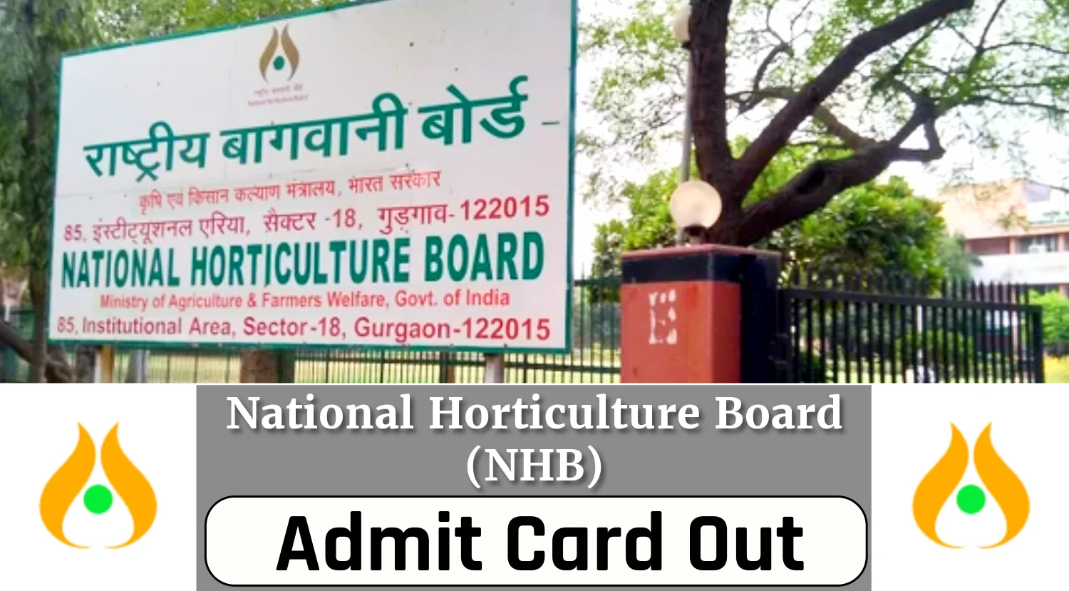 NHB Admit Card 2024 Out, Download NTA National Horticulture Board Recruitment CBT Test Hall Ticket Now