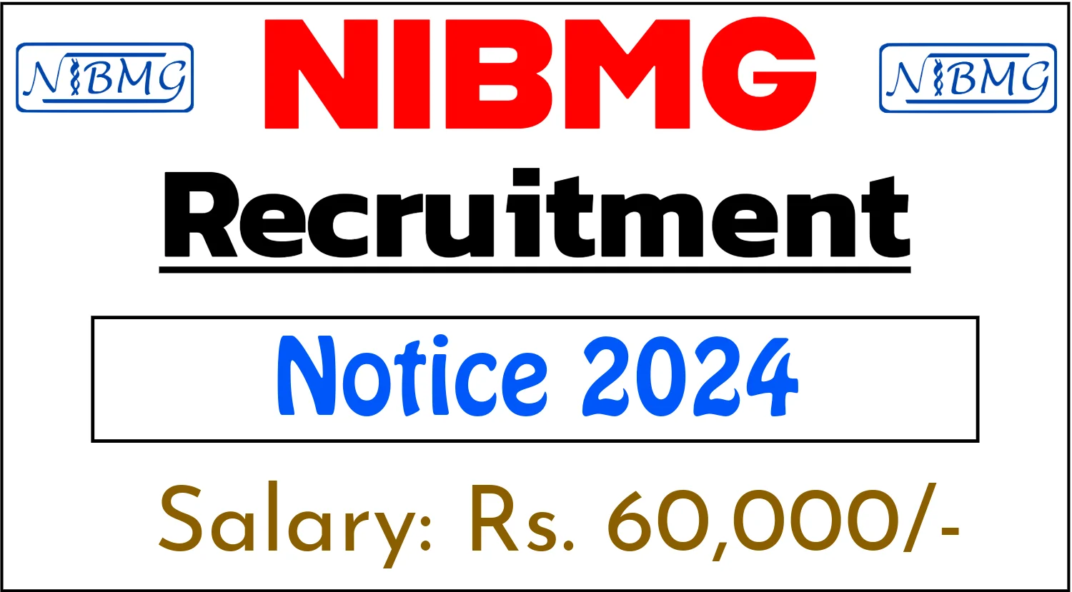 NIBMG Sr Consultant Electrical Recruitment 2024
