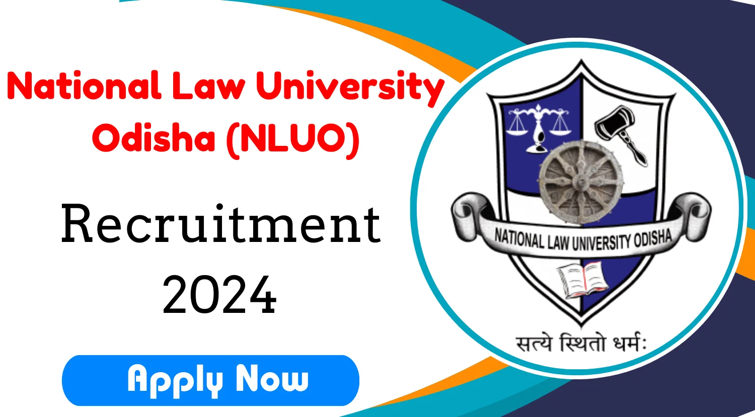 NLUO Project Manager Recruitment 2024