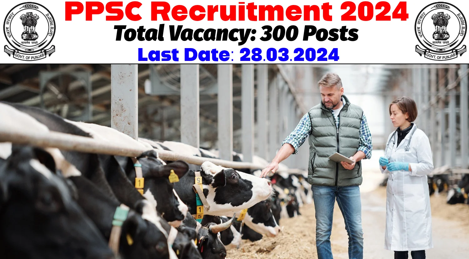 PPSC Veterinary Officer Recruitment 2024 for 300 Vacancies