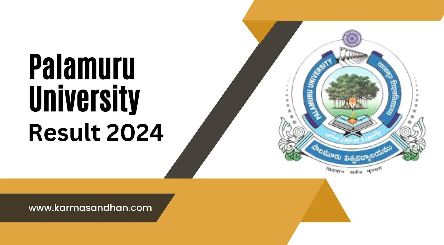 Palamuru University Result 2024