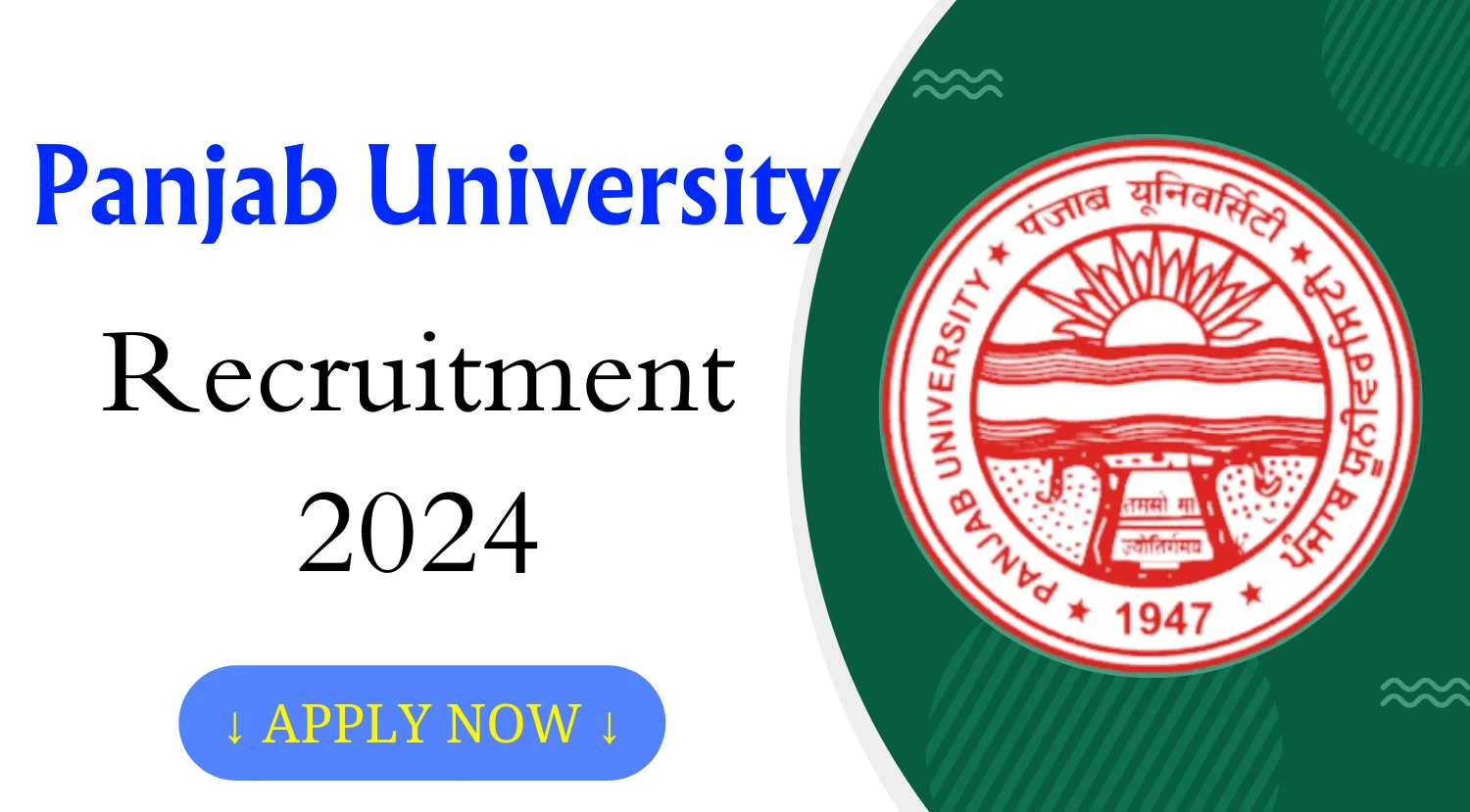 Panjab University JRF Recruitment 2024