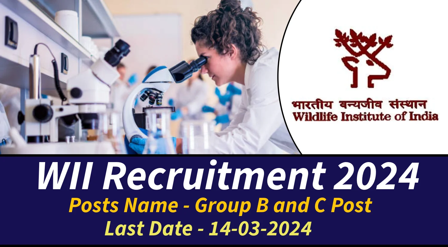 WII Recruitment 2024 for Various Group B and C Post